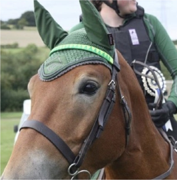 Horse rider with bespoke colour matching green equine accessories