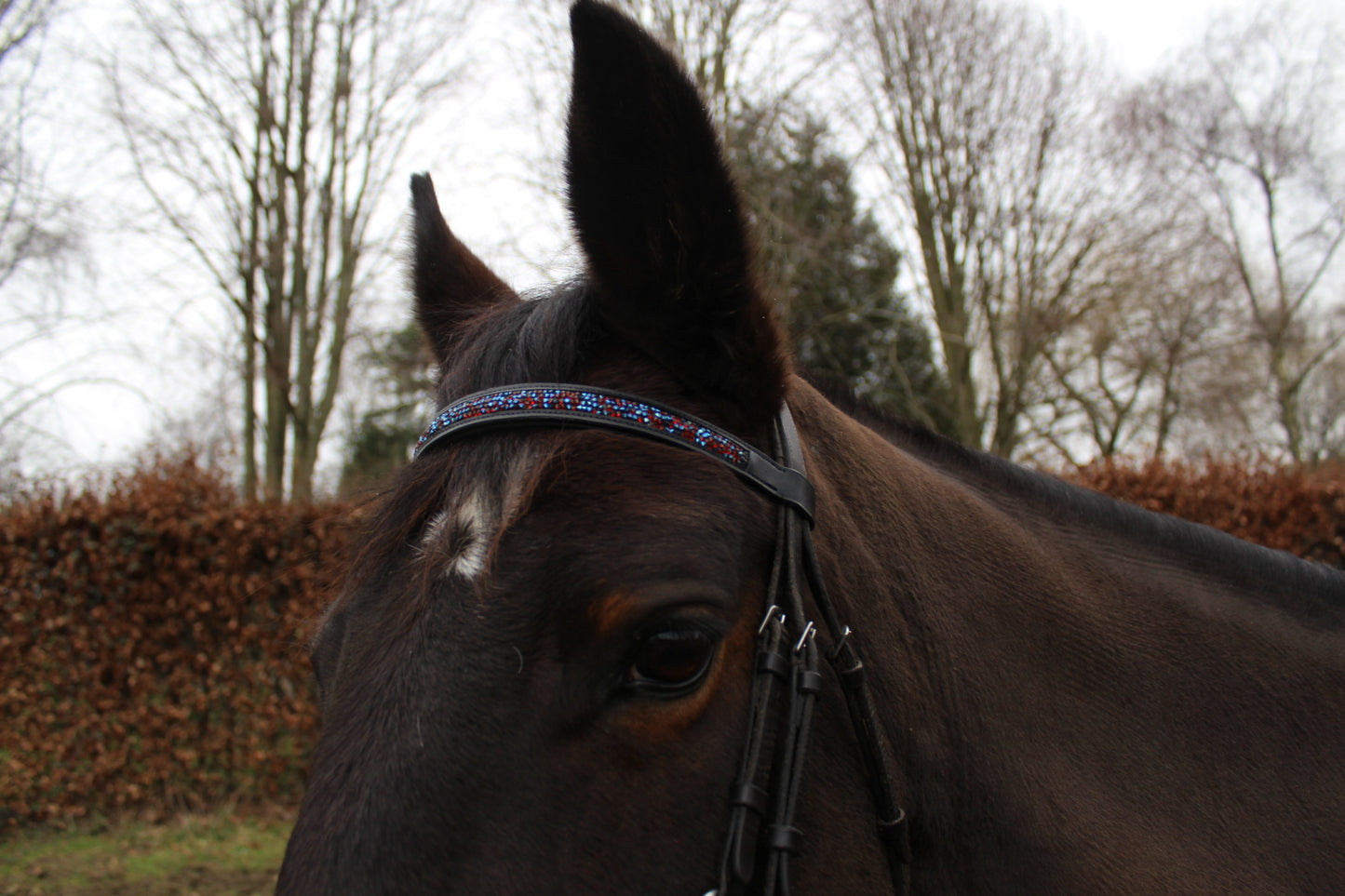 Jewel browbands