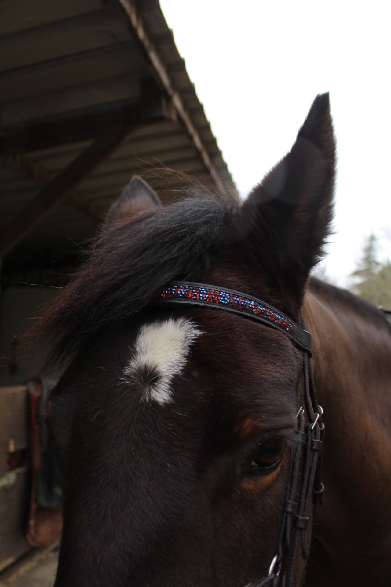 Jewel browbands