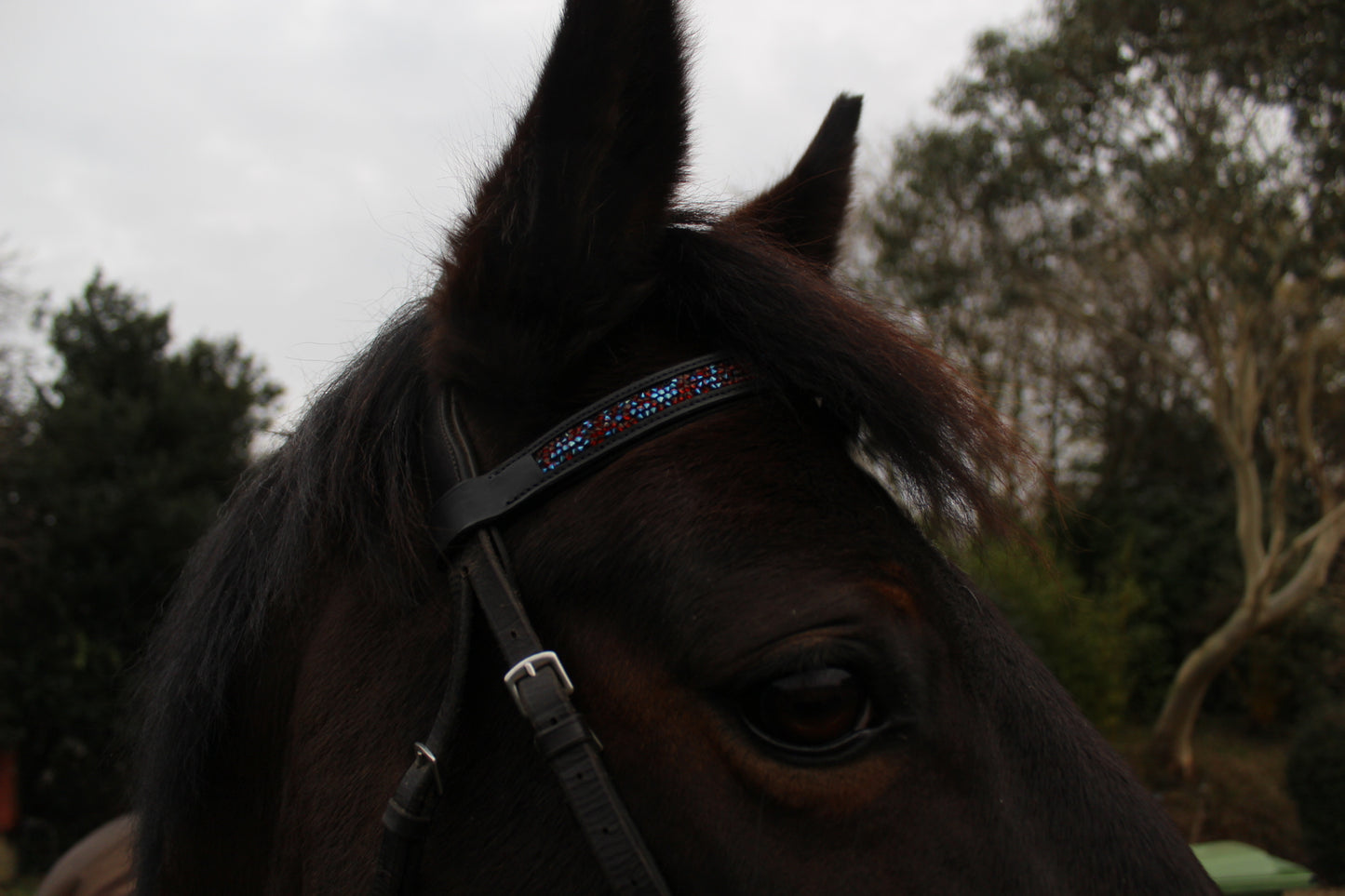 Jewel browbands