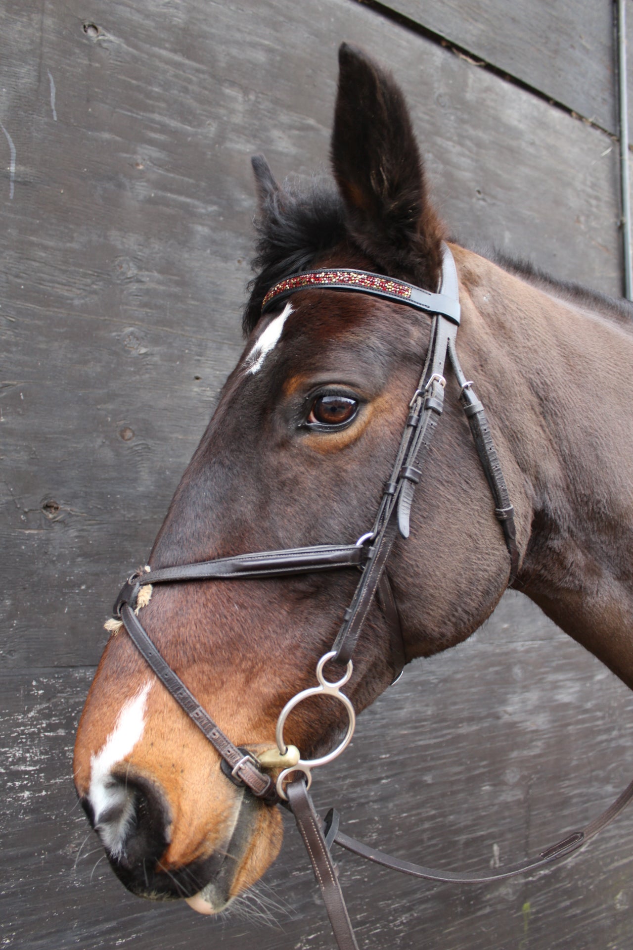 Jewel browbands