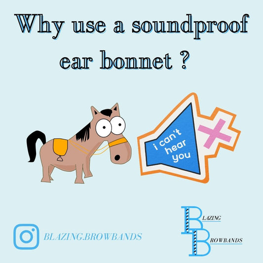 Why use a soundproof ear bonnet?