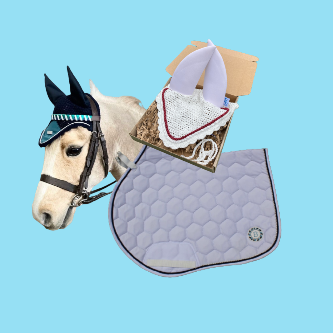 The Ultimate Guide to Caring for Your Equestrian Gear: Increase Longevity and Save Money!