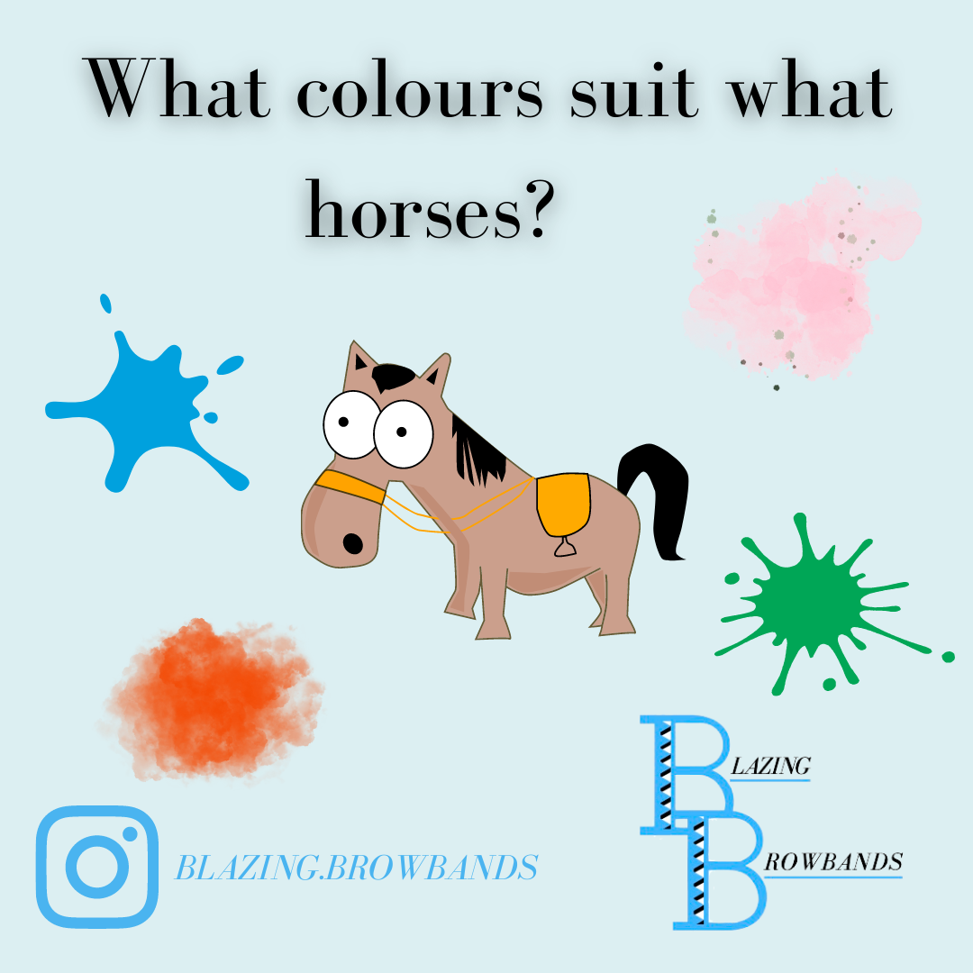 a infographic with a picture of a horse in the middle with colour splatters around it, titled 'what colours suit what horses' 