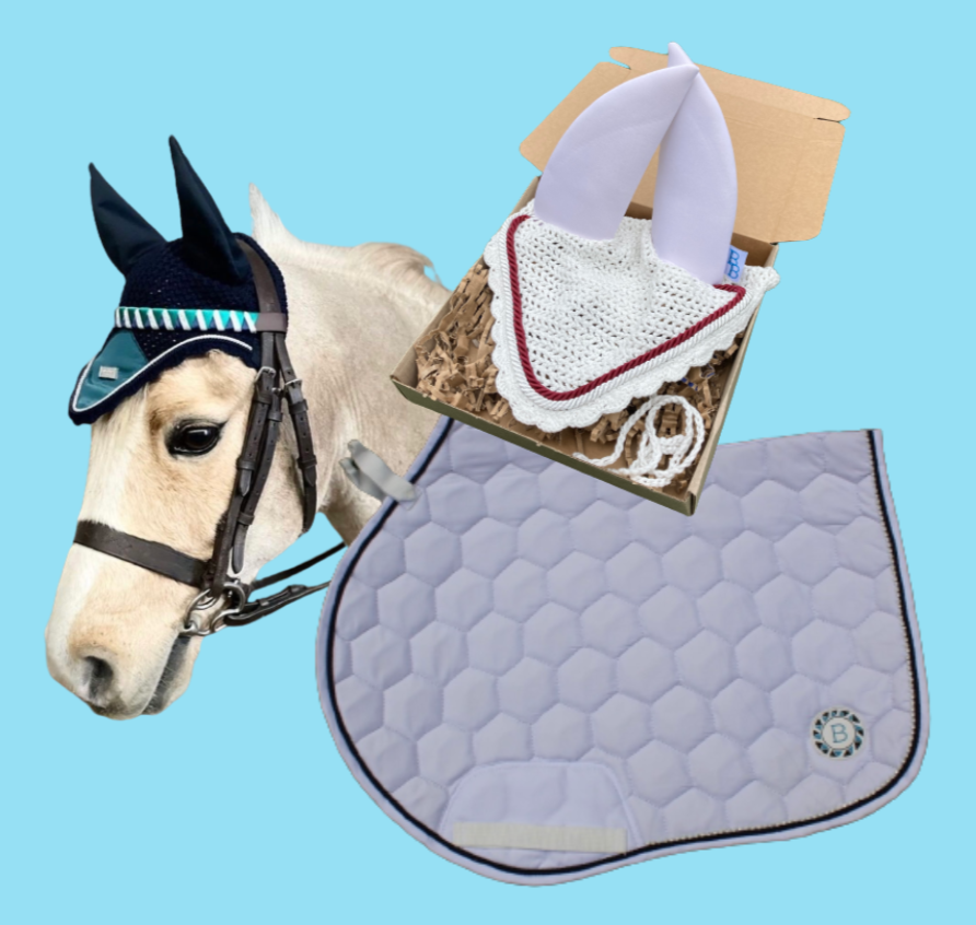 matchy matchy set including a bespoke browband, competition saddle pad and custom made soundproof ear bonnet 