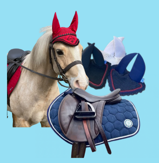 matchy matchy set including a bespoke browband, competition saddle pad and custom made soundproof ear bonnet 