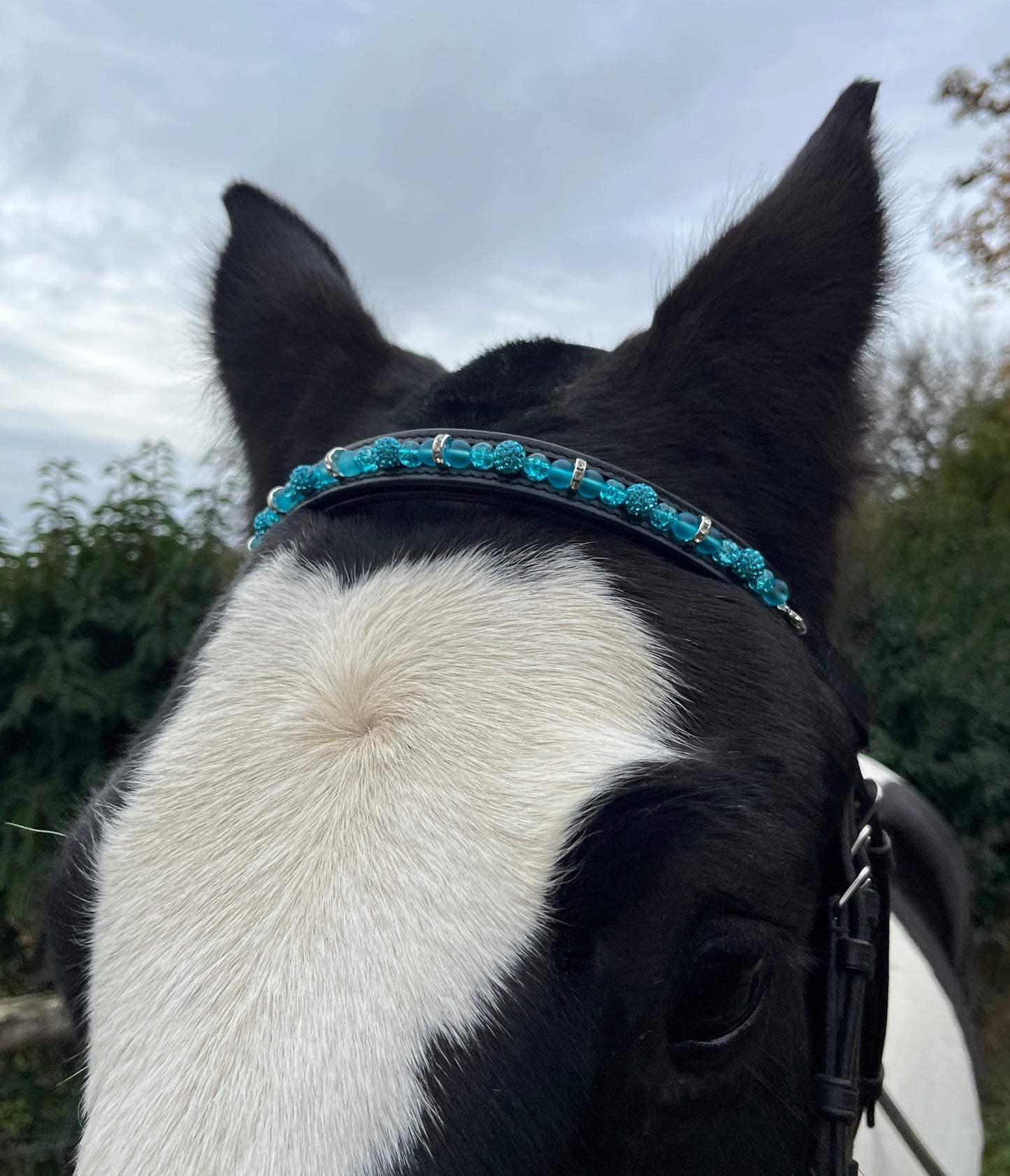 Bespoke interchangeable beaded channel leather Browband