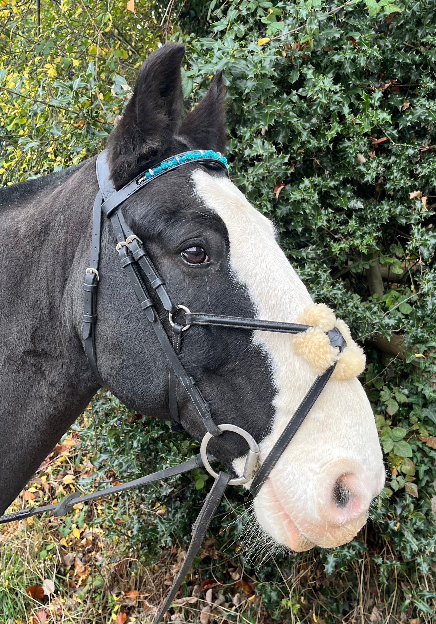 Bespoke interchangeable beaded channel leather Browband