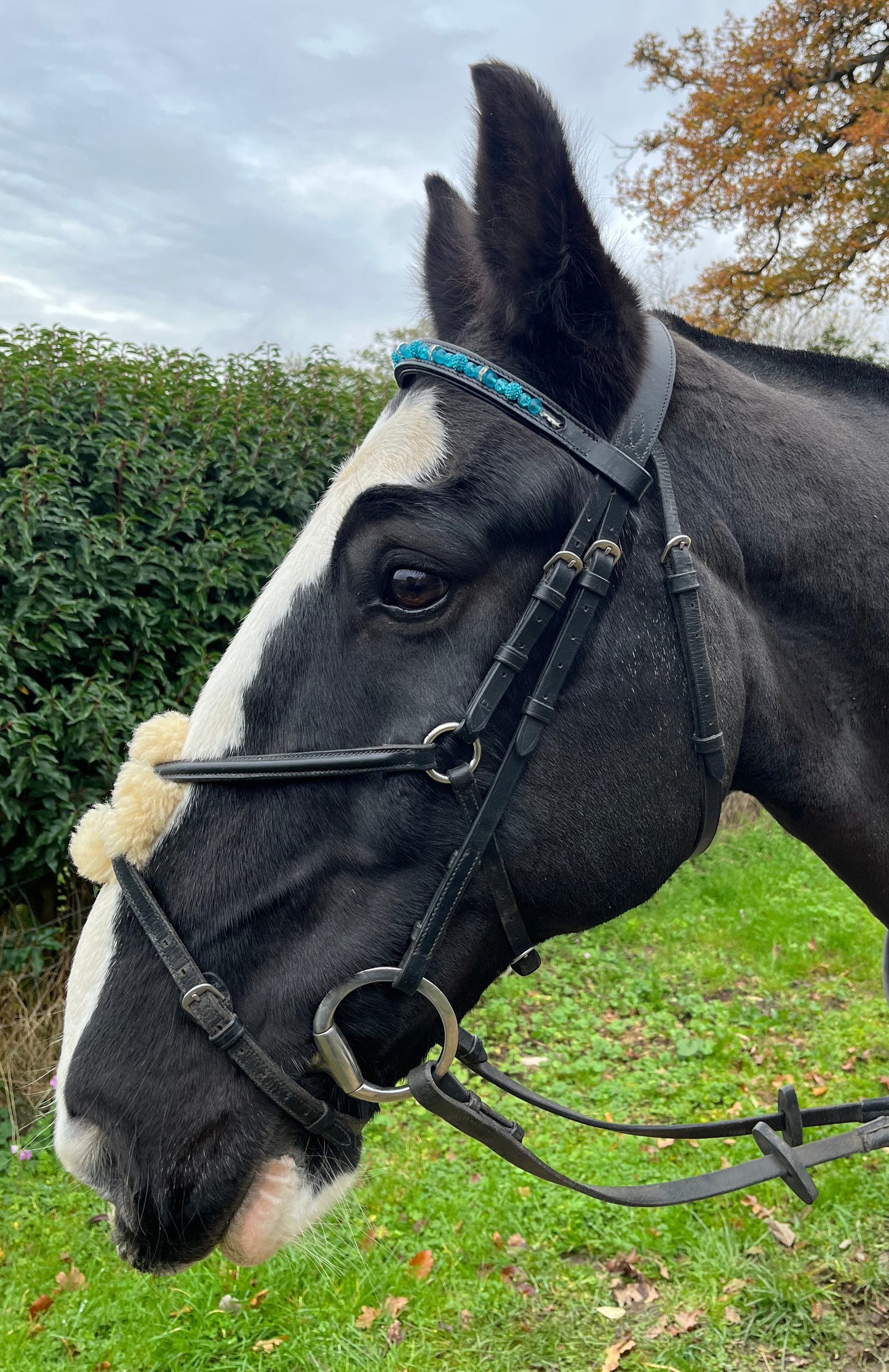Bespoke interchangeable beaded channel leather Browband