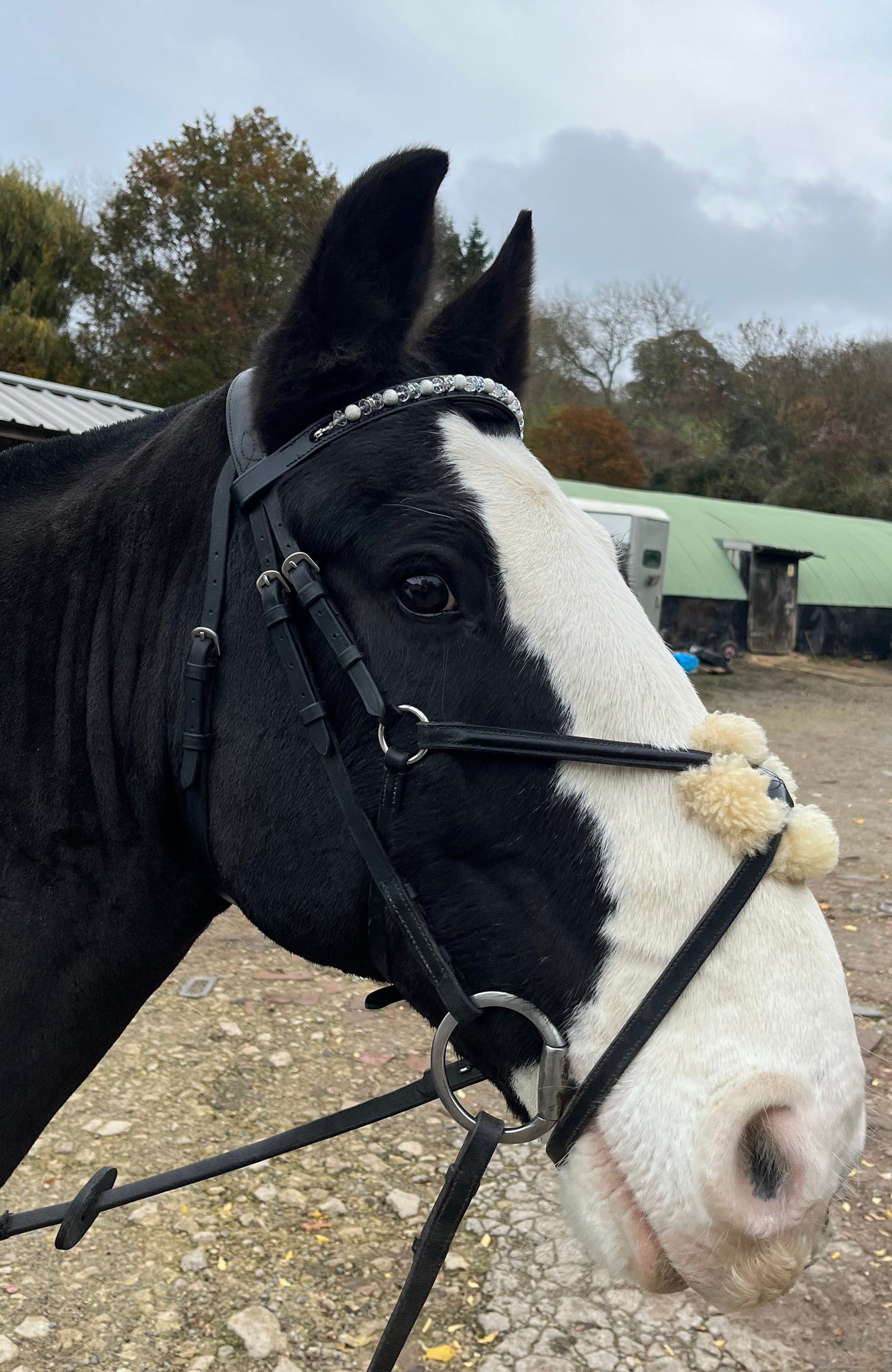 Bespoke interchangeable beaded channel leather Browband
