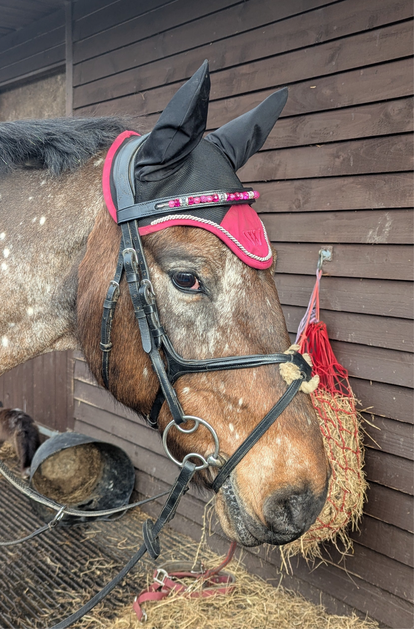 Bespoke interchangeable beaded channel leather Browband