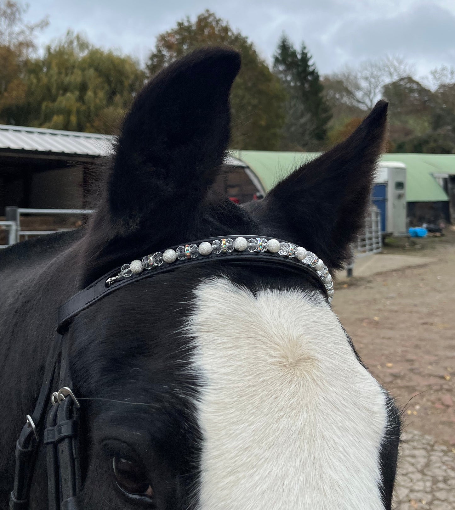 Bespoke interchangeable beaded channel leather Browband
