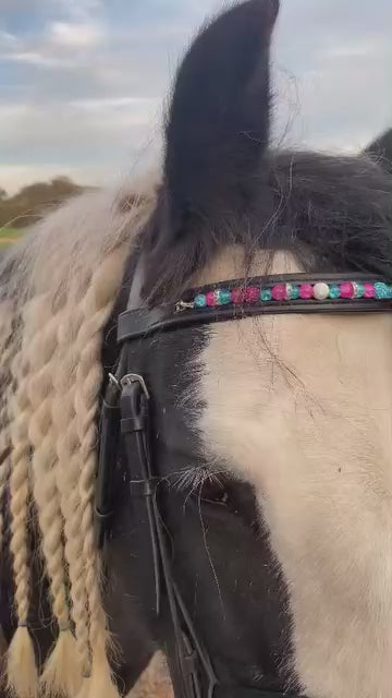 Bespoke interchangeable beaded channel leather Browband