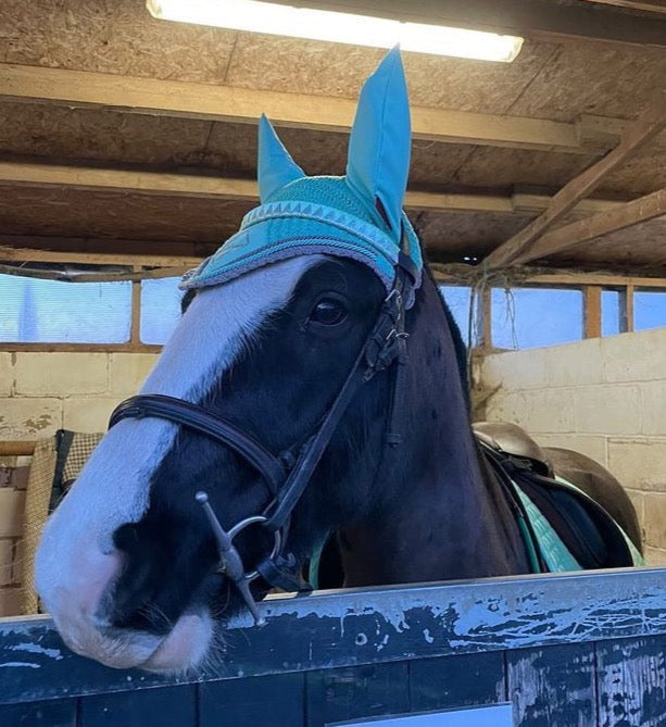 piebald pony wearing mint matching set including bespoke browband