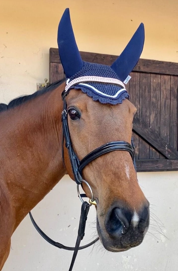 a bay thoroughbred mare wearing a bespoke navy soundproof ear bonnet and crystal browband