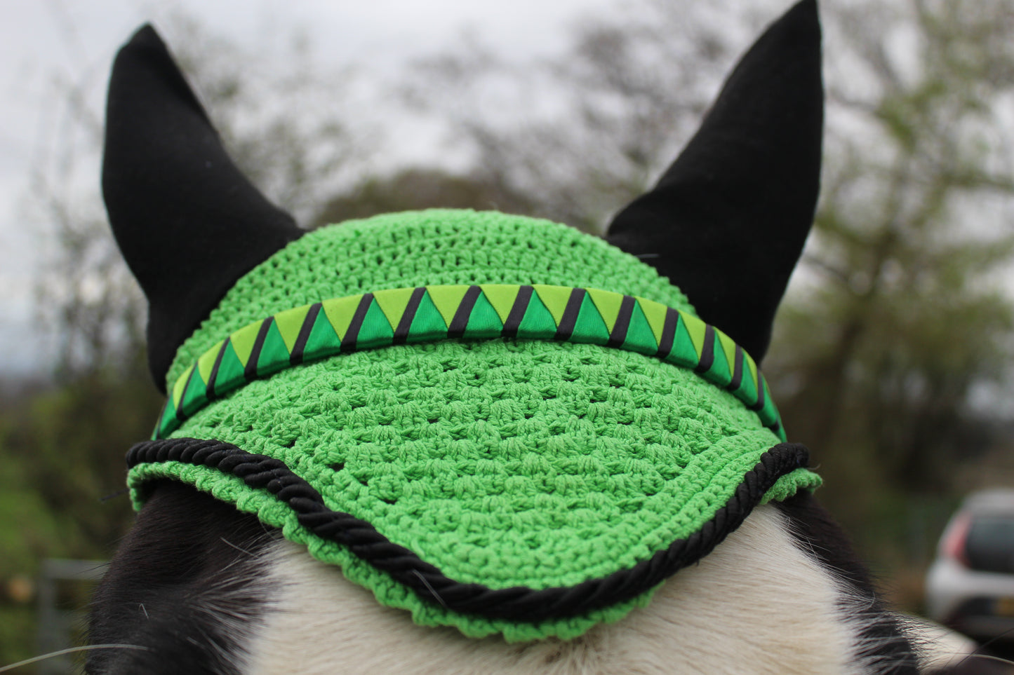 a horse wearing a green bespoke browband and green ear bonnet