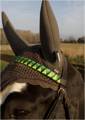 a horse wearing a grey soundproof ear bonnet and a bespoke green browband